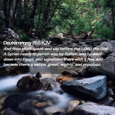 Picture 02 - Deuteronomy 26:5 KJV - And thou shalt speak and say before the LORD thy - Bible Verse Picture