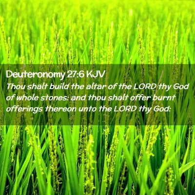 Picture 02 - Deuteronomy 27:6 KJV - Thou shalt build the altar of the LORD thy God of - Bible Verse Picture