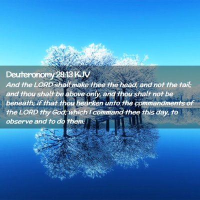 Picture 02 - Deuteronomy 28:13 KJV - And the LORD shall make thee the head, and not - Bible Verse Picture