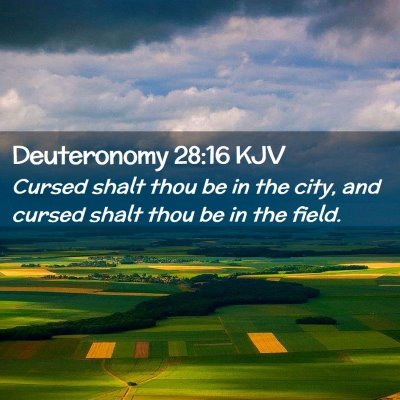 Picture 02 - Deuteronomy 28:16 KJV - Cursed shalt thou be in the city, and cursed - Bible Verse Picture