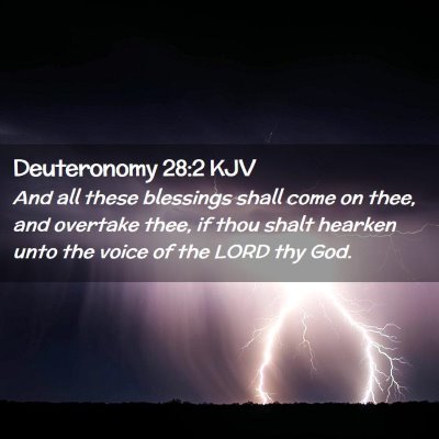 Picture 02 - Deuteronomy 28:2 KJV - And all these blessings shall come on thee, and - Bible Verse Picture
