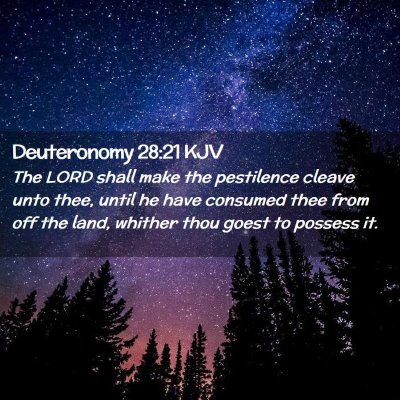 Picture 02 - Deuteronomy 28:21 KJV - The LORD shall make the pestilence cleave unto - Bible Verse Picture