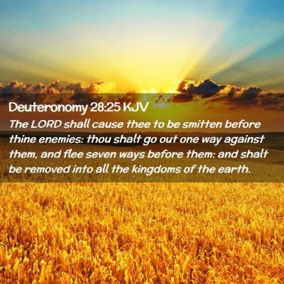 Picture 02 - Deuteronomy 28:25 KJV - The LORD shall cause thee to be smitten before - Bible Verse Picture