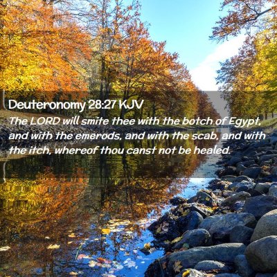 Picture 02 - Deuteronomy 28:27 KJV - The LORD will smite thee with the botch of Egypt, - Bible Verse Picture