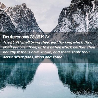 Picture 02 - Deuteronomy 28:36 KJV - The LORD shall bring thee, and thy king which - Bible Verse Picture