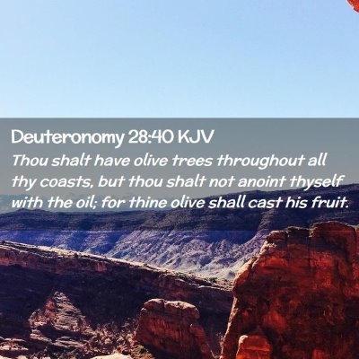 Picture 02 - Deuteronomy 28:40 KJV - Thou shalt have olive trees throughout all thy - Bible Verse Picture