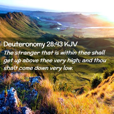 Picture 02 - Deuteronomy 28:43 KJV - The stranger that is within thee shall get up - Bible Verse Picture
