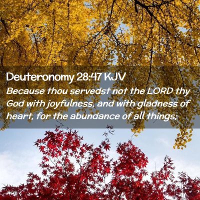 Picture 02 - Deuteronomy 28:47 KJV - Because thou servedst not the LORD thy God with - Bible Verse Picture