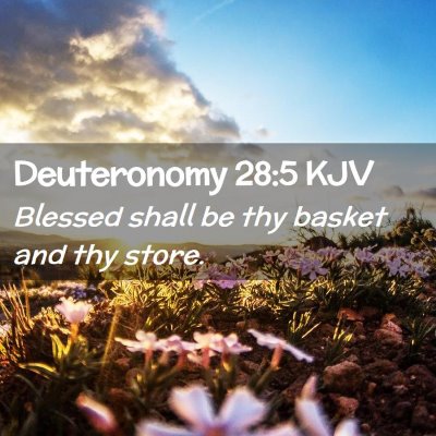 Picture 02 - Deuteronomy 28:5 KJV - Blessed shall be thy basket and thy - Bible Verse Picture