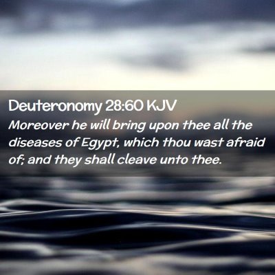 Picture 02 - Deuteronomy 28:60 KJV - Moreover he will bring upon thee all the diseases - Bible Verse Picture