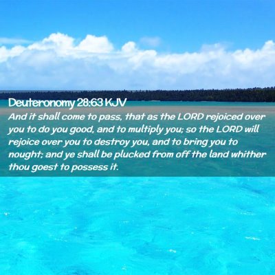 Picture 02 - Deuteronomy 28:63 KJV - And it shall come to pass, that as the LORD - Bible Verse Picture