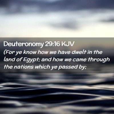 Picture 02 - Deuteronomy 29:16 KJV - (For ye know how we have dwelt in the land of - Bible Verse Picture