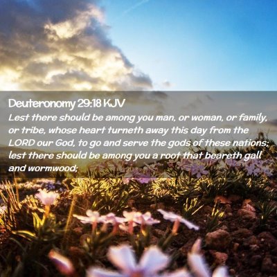 Picture 02 - Deuteronomy 29:18 KJV - Lest there should be among you man, or woman, or - Bible Verse Picture