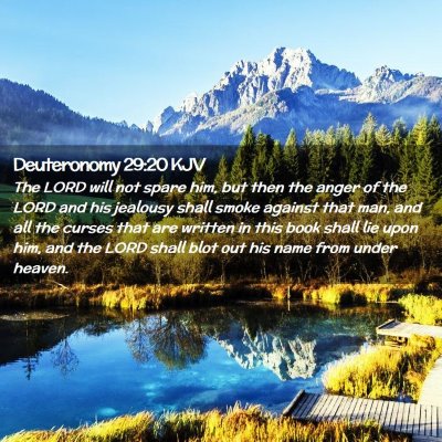 Picture 02 - Deuteronomy 29:20 KJV - The LORD will not spare him, but then the anger - Bible Verse Picture