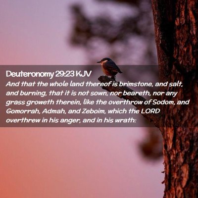Picture 02 - Deuteronomy 29:23 KJV - And that the whole land thereof is brimstone, and - Bible Verse Picture