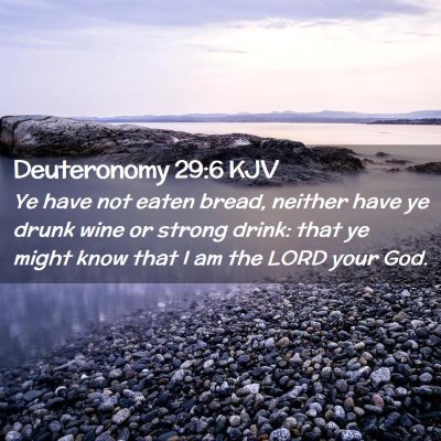 Picture 02 - Deuteronomy 29:6 KJV - Ye have not eaten bread, neither have ye drunk - Bible Verse Picture