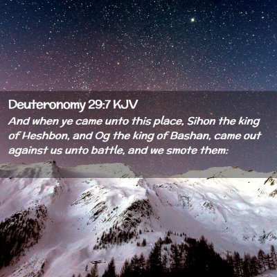 Picture 02 - Deuteronomy 29:7 KJV - And when ye came unto this place, Sihon the king - Bible Verse Picture