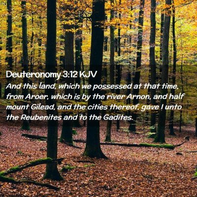 Picture 02 - Deuteronomy 3:12 KJV - And this land, which we possessed at that time, - Bible Verse Picture