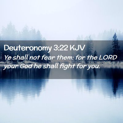 Picture 02 - Deuteronomy 3:22 KJV - Ye shall not fear them: for the LORD your God he - Bible Verse Picture