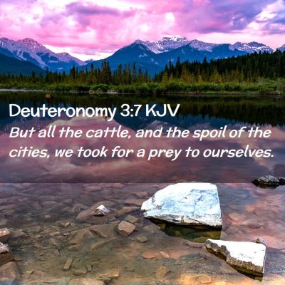 Picture 02 - Deuteronomy 3:7 KJV - But all the cattle, and the spoil of the cities, - Bible Verse Picture