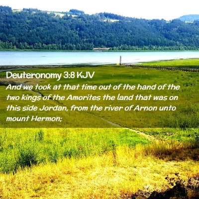 Picture 02 - Deuteronomy 3:8 KJV - And we took at that time out of the hand of the - Bible Verse Picture