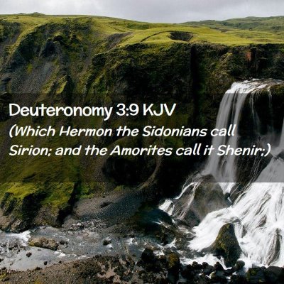 Picture 02 - Deuteronomy 3:9 KJV - (Which Hermon the Sidonians call Sirion; and the - Bible Verse Picture