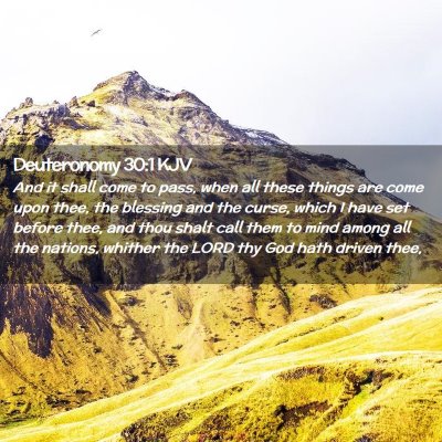 Picture 02 - Deuteronomy 30:1 KJV - And it shall come to pass, when all these things - Bible Verse Picture