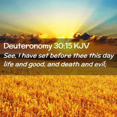 Picture 02 - Deuteronomy 30:15 KJV - See, I have set before thee this day life and - Bible Verse Picture
