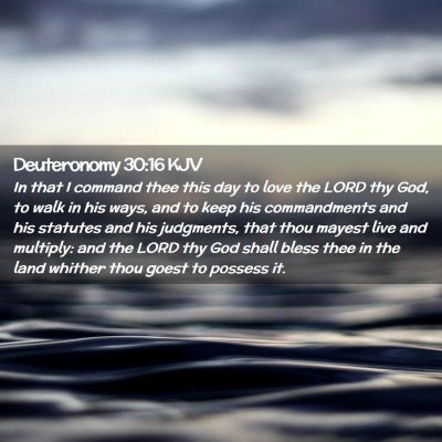 Picture 02 - Deuteronomy 30:16 KJV - In that I command thee this day to love the LORD - Bible Verse Picture