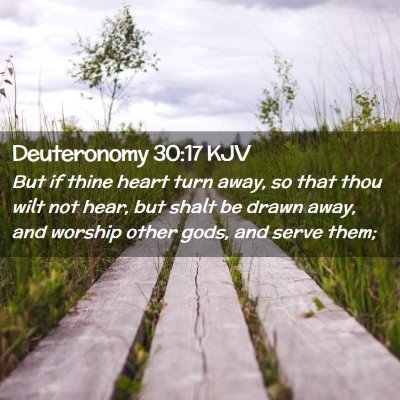 Picture 02 - Deuteronomy 30:17 KJV - But if thine heart turn away, so that thou wilt - Bible Verse Picture