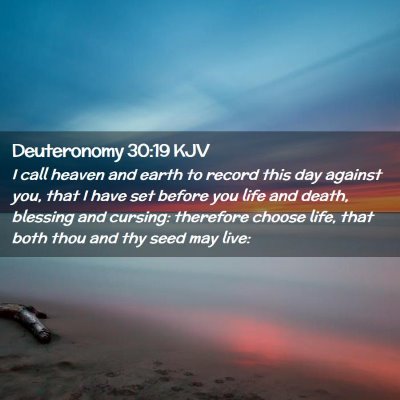 Picture 02 - Deuteronomy 30:19 KJV - I call heaven and earth to record this day - Bible Verse Picture