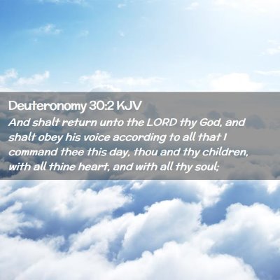 Picture 02 - Deuteronomy 30:2 KJV - And shalt return unto the LORD thy God, and shalt - Bible Verse Picture