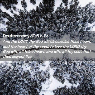 Picture 02 - Deuteronomy 30:6 KJV - And the LORD thy God will circumcise thine heart, - Bible Verse Picture
