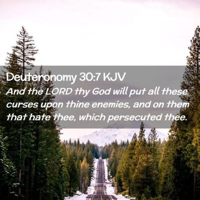 Picture 02 - Deuteronomy 30:7 KJV - And the LORD thy God will put all these curses - Bible Verse Picture