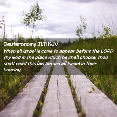 Picture 02 - Deuteronomy 31:11 KJV - When all Israel is come to appear before the LORD - Bible Verse Picture