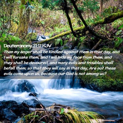 Picture 02 - Deuteronomy 31:17 KJV - Then my anger shall be kindled against them in - Bible Verse Picture