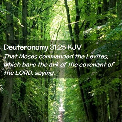 Picture 02 - Deuteronomy 31:25 KJV - That Moses commanded the Levites, which bare the - Bible Verse Picture