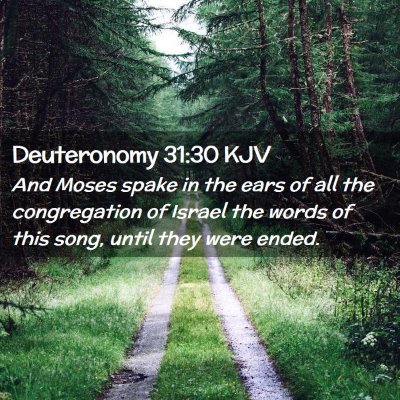 Picture 02 - Deuteronomy 31:30 KJV - And Moses spake in the ears of all the - Bible Verse Picture