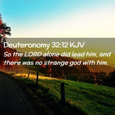 Picture 02 - Deuteronomy 32:12 KJV - So the LORD alone did lead him, and there was no - Bible Verse Picture