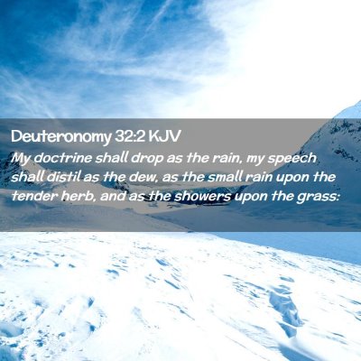 Picture 02 - Deuteronomy 32:2 KJV - My doctrine shall drop as the rain, my speech - Bible Verse Picture