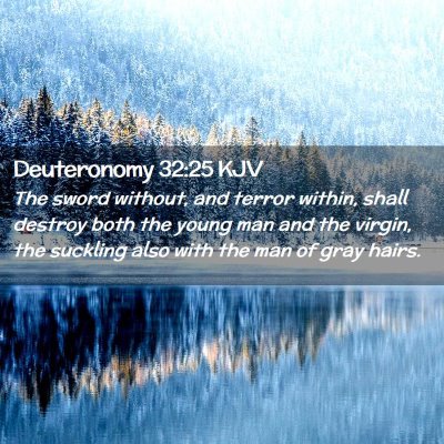 Picture 02 - Deuteronomy 32:25 KJV - The sword without, and terror within, shall - Bible Verse Picture
