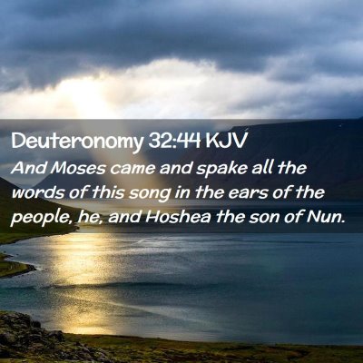 Picture 02 - Deuteronomy 32:44 KJV - And Moses came and spake all the words of this - Bible Verse Picture