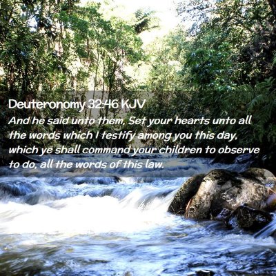 Picture 02 - Deuteronomy 32:46 KJV - And he said unto them, Set your hearts unto all - Bible Verse Picture