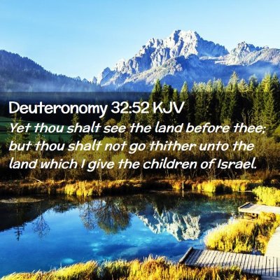 Picture 02 - Deuteronomy 32:52 KJV - Yet thou shalt see the land before thee; but thou - Bible Verse Picture