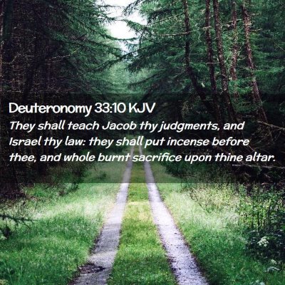 Picture 02 - Deuteronomy 33:10 KJV - They shall teach Jacob thy judgments, and Israel - Bible Verse Picture