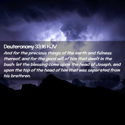 Picture 02 - Deuteronomy 33:16 KJV - And for the precious things of the earth and - Bible Verse Picture