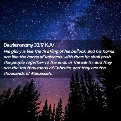 Picture 02 - Deuteronomy 33:17 KJV - His glory is like the firstling of his bullock, - Bible Verse Picture