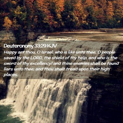 Picture 02 - Deuteronomy 33:29 KJV - Happy art thou, O Israel: who is like unto thee, - Bible Verse Picture