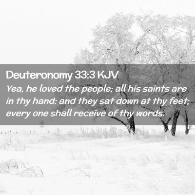 Picture 02 - Deuteronomy 33:3 KJV - Yea, he loved the people; all his saints are in - Bible Verse Picture