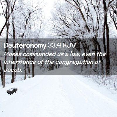 Picture 02 - Deuteronomy 33:4 KJV - Moses commanded us a law, even the inheritance of - Bible Verse Picture